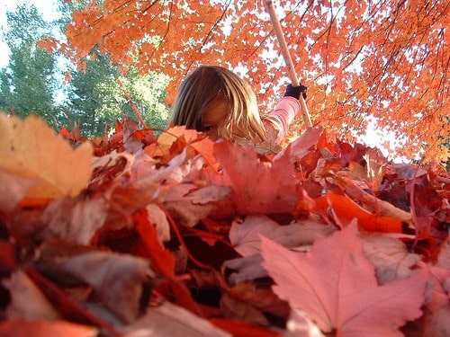 If you're raking leaves, then rake leaves.