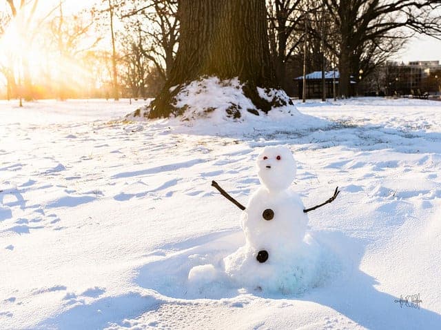 When life gives you a snowstorm, be grateful for the snowman.