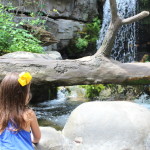 A day at the aquarium