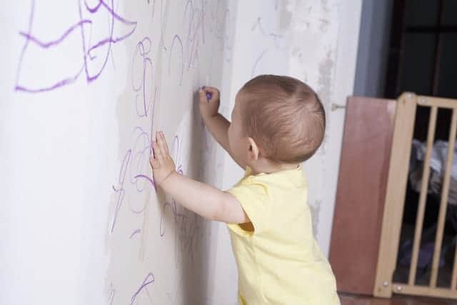 Inside the mind of a toddler